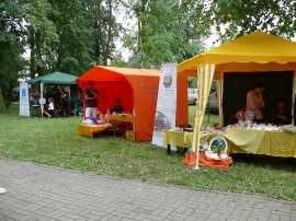 Powiatowe Dni Rodziny 2016- relacja_5zdjęcie przedstawia: trzy namioty wystawiennicze w parku